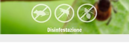 Servizio di disinfestazione Servizio di disinfestazione
