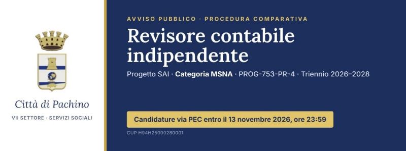 Revisore contabile indipendente