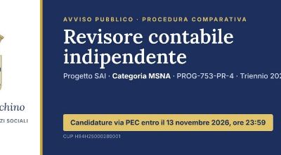 Revisore contabile indipendente